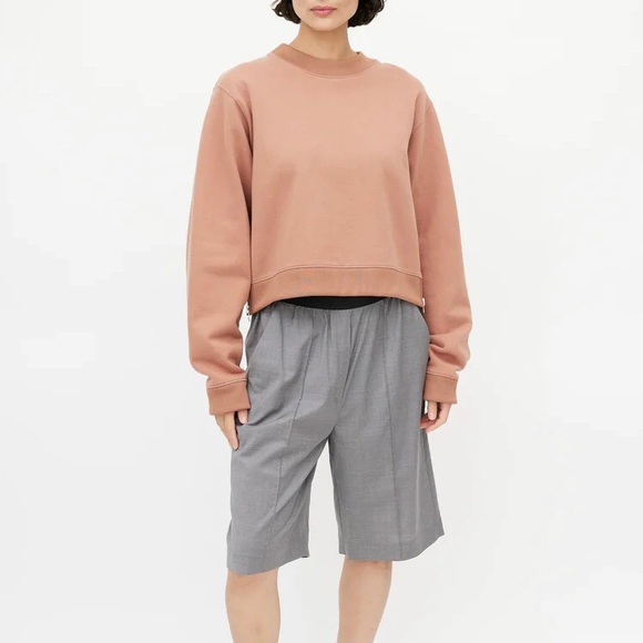 Acne Studios Bird Fl Cropped Sweatshirt Pink XS - Picture 2 of 15